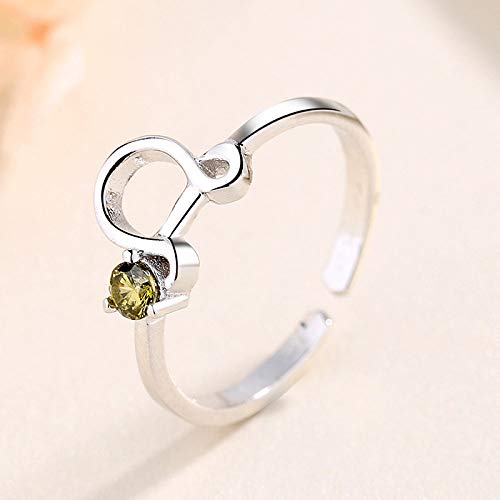KSKAN Silber Ringe 925 Frauen, Verstellbare Ringe...