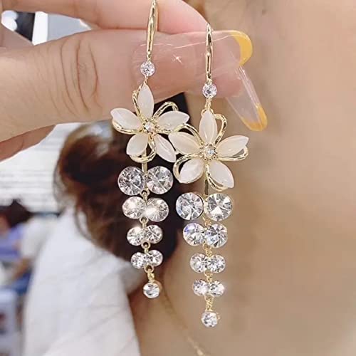 Damen-Ohrringe Damenschmuck Exquisite...