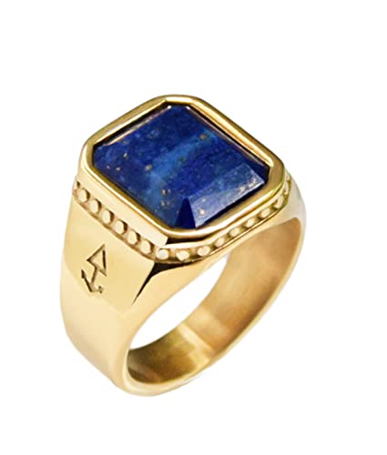 Rock and Steel Herren Ring Zeus Siegelring mit...