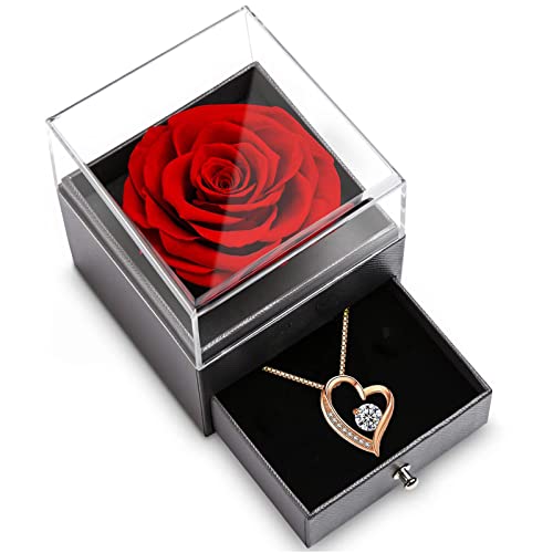 SWEETIME Ewige Rose Geschenkbox Rote Infinity...